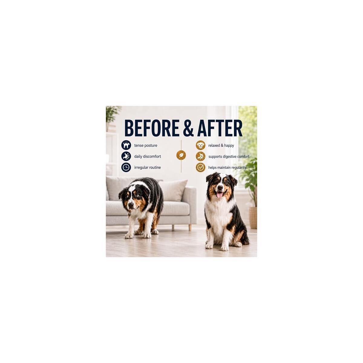 Dog Constipation Relief Liquid Drops Cash Back - RebateKey