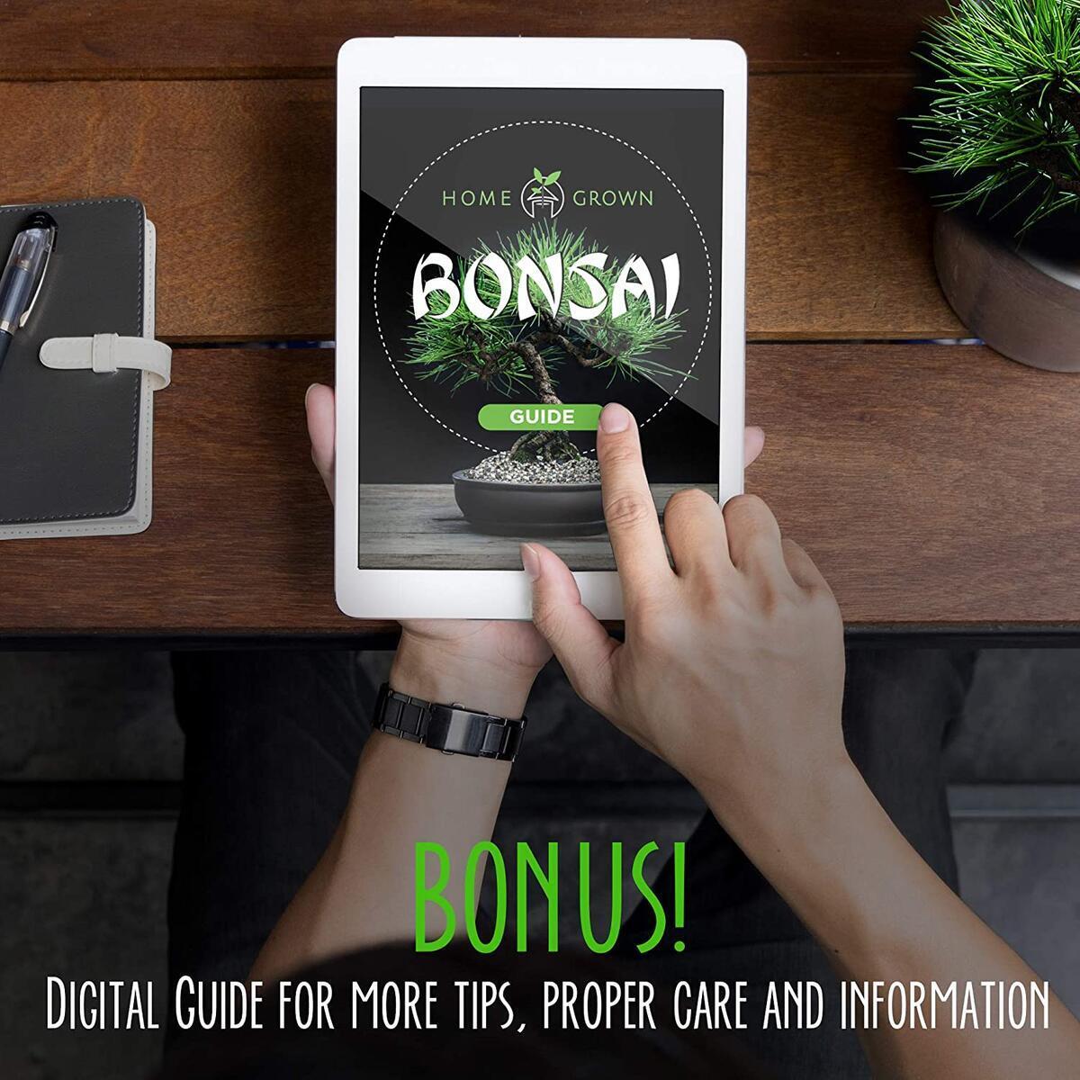 Bonsai Seeds Cashback RebateKey