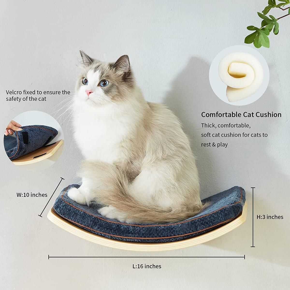 Comfortable Cat Rebates - RebateKey