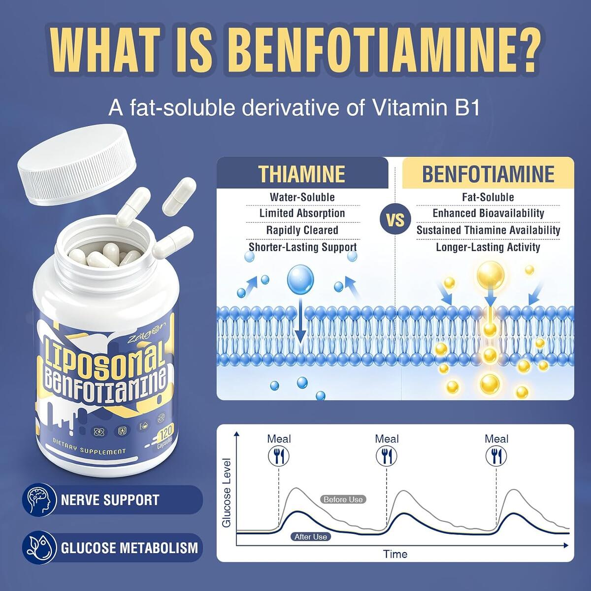 Liposomal Benfotiamine Vitamin B Rebate - RebateKey