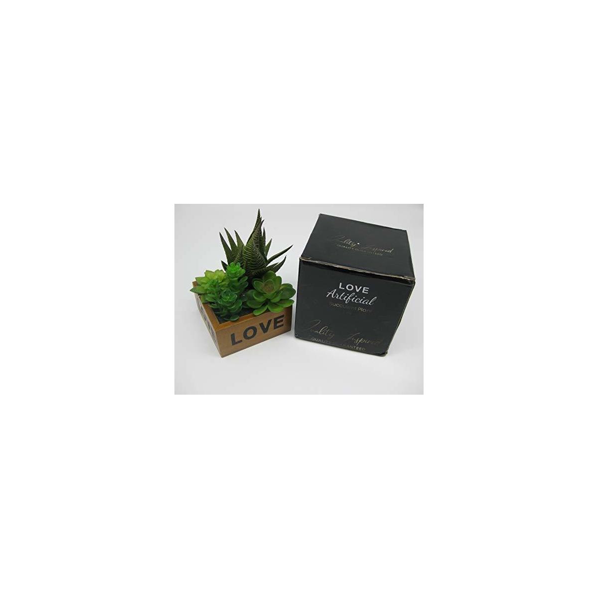 Succulent Love Display Rebates - RebateKey