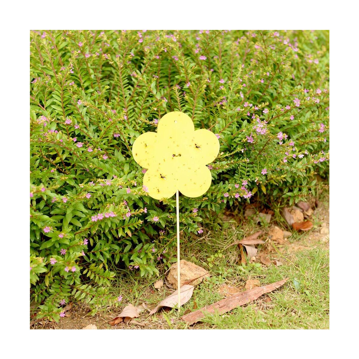 Insect Fly Trap Cashback Rebates - RebateKey