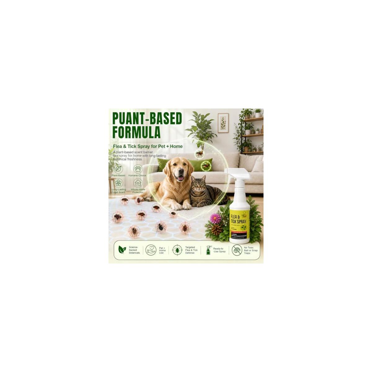 Fea Spray For Home Cashback Rebates - RebateKey