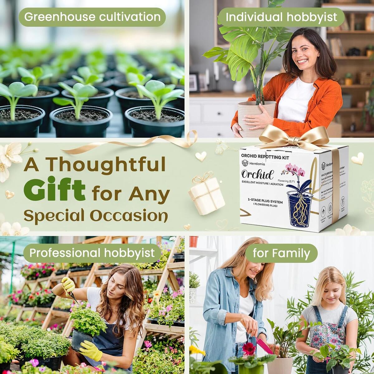 Orchid Potting Mix For Repotting Cashback - RebateKey