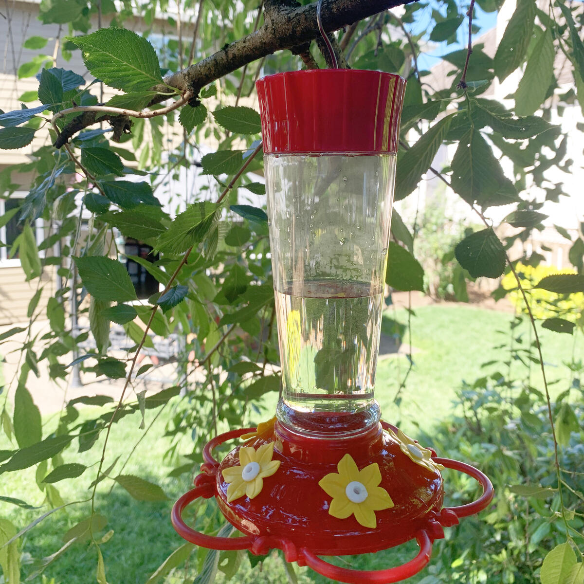 Hummingbird Feeder Cash Back - RebateKey