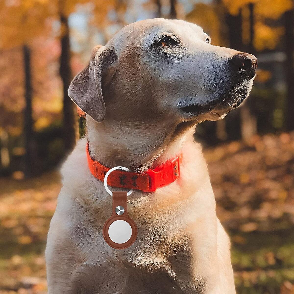 Apple Airtag Case Rebates - RebateKey