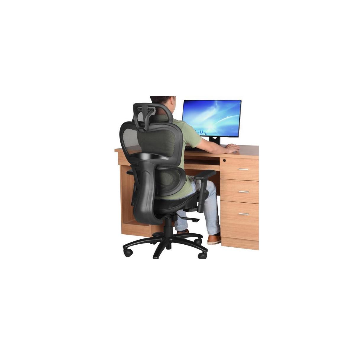 Duramont Ergonomic Office Chair With Lumbar Support High Back