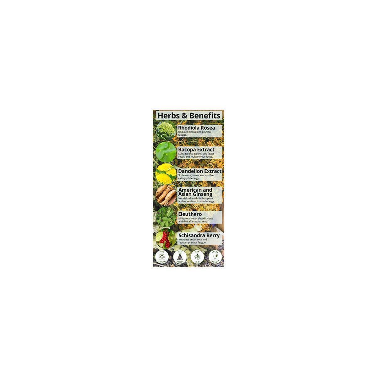Energy Supplements Rebates - RebateKey
