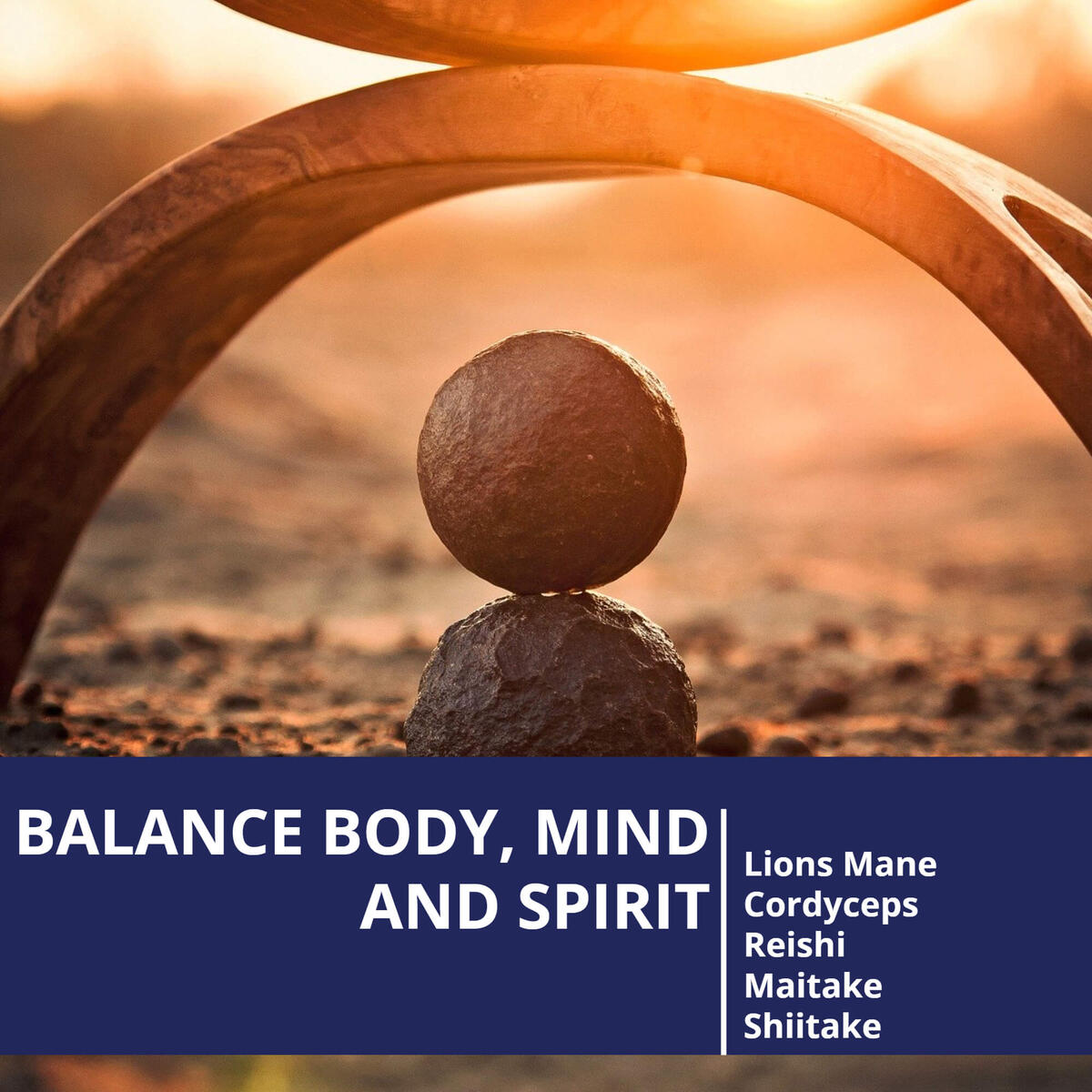 Immune System Support Cashback - RebateKey