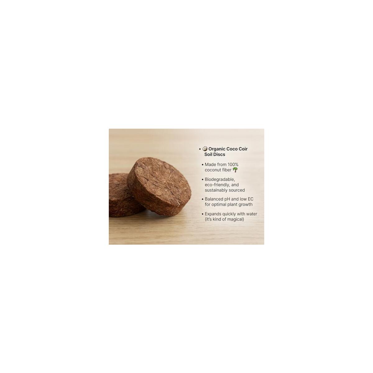 Cat Grass Kit 7 Cashback Rebates - RebateKey