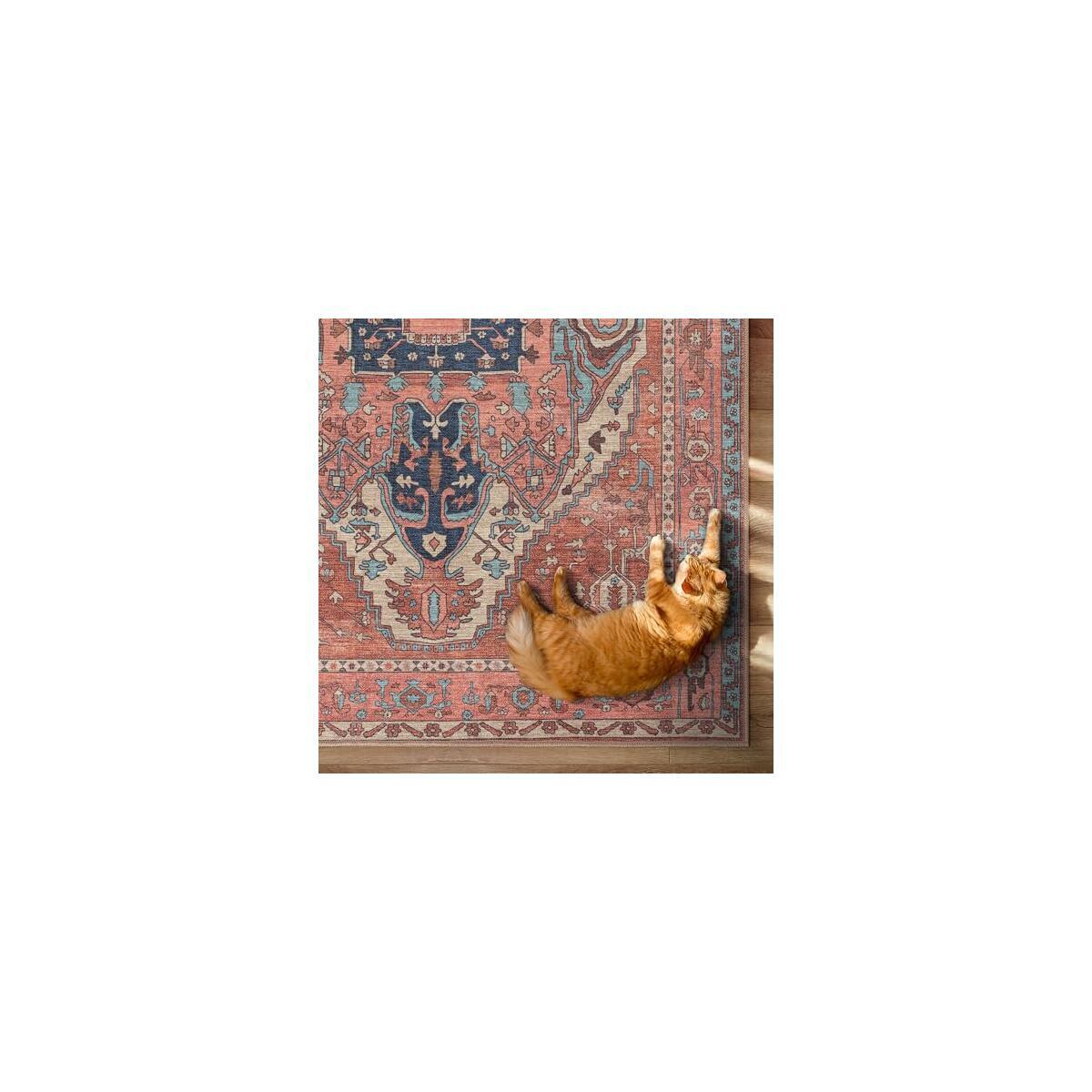 Brick Color Oushak Area Rug Cashback Rebates - RebateKey