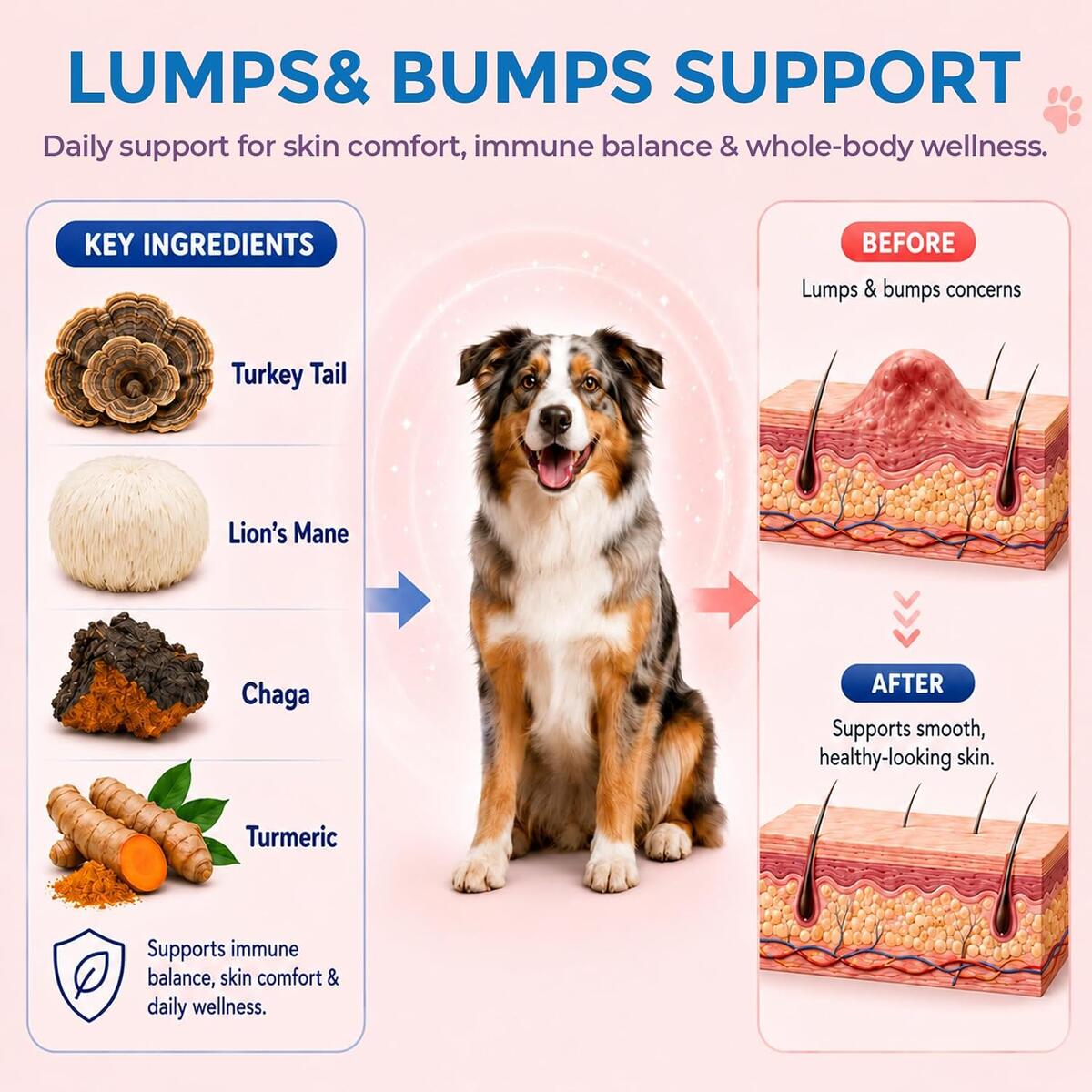 Turkey Tail Mushroom For Dogs Cats Rebate - RebateKey