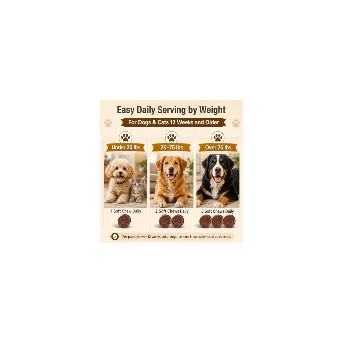Turkey Tail Mushroom For Dogs Rebate - RebateKey