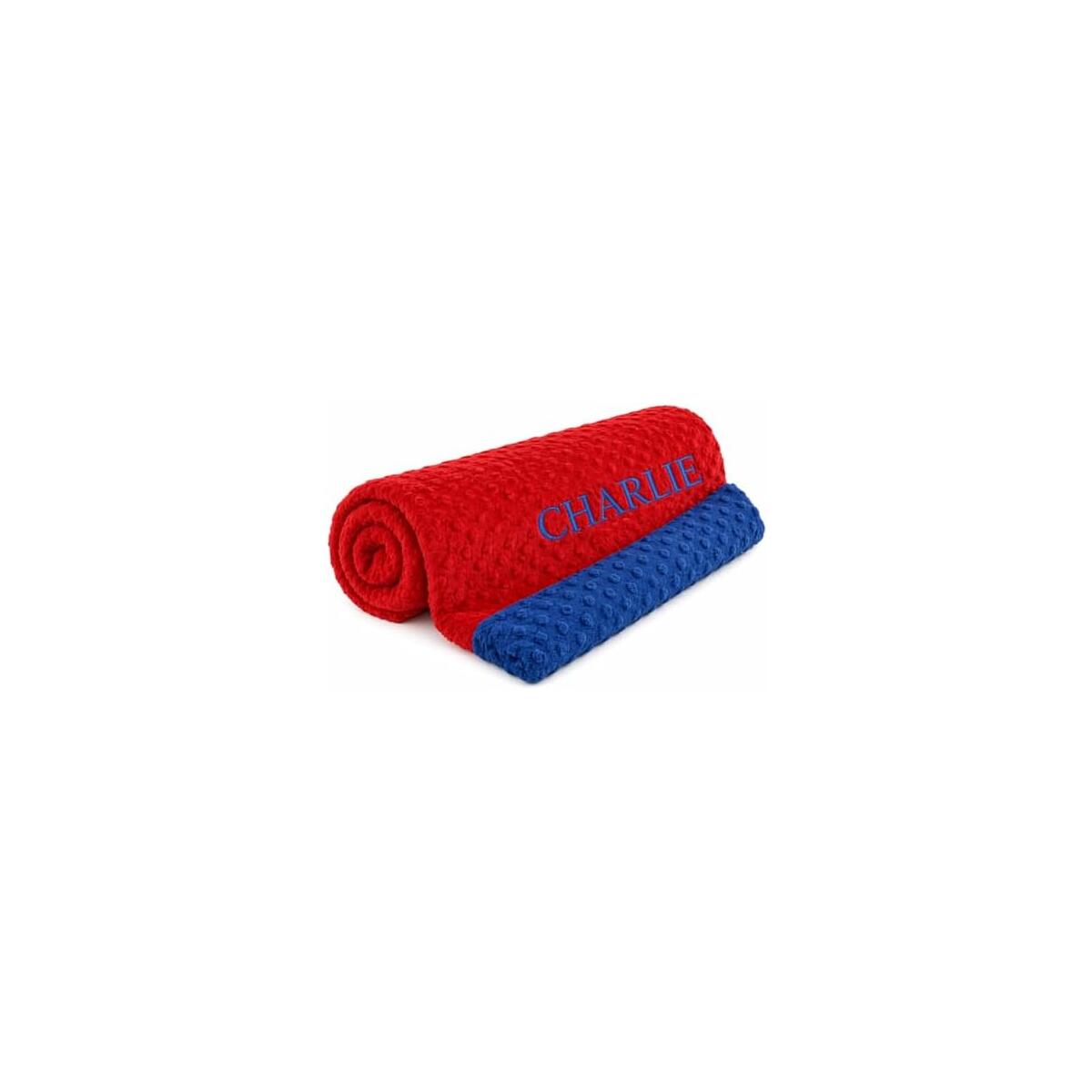 Minky Baby Blanket Cash Back - RebateKey