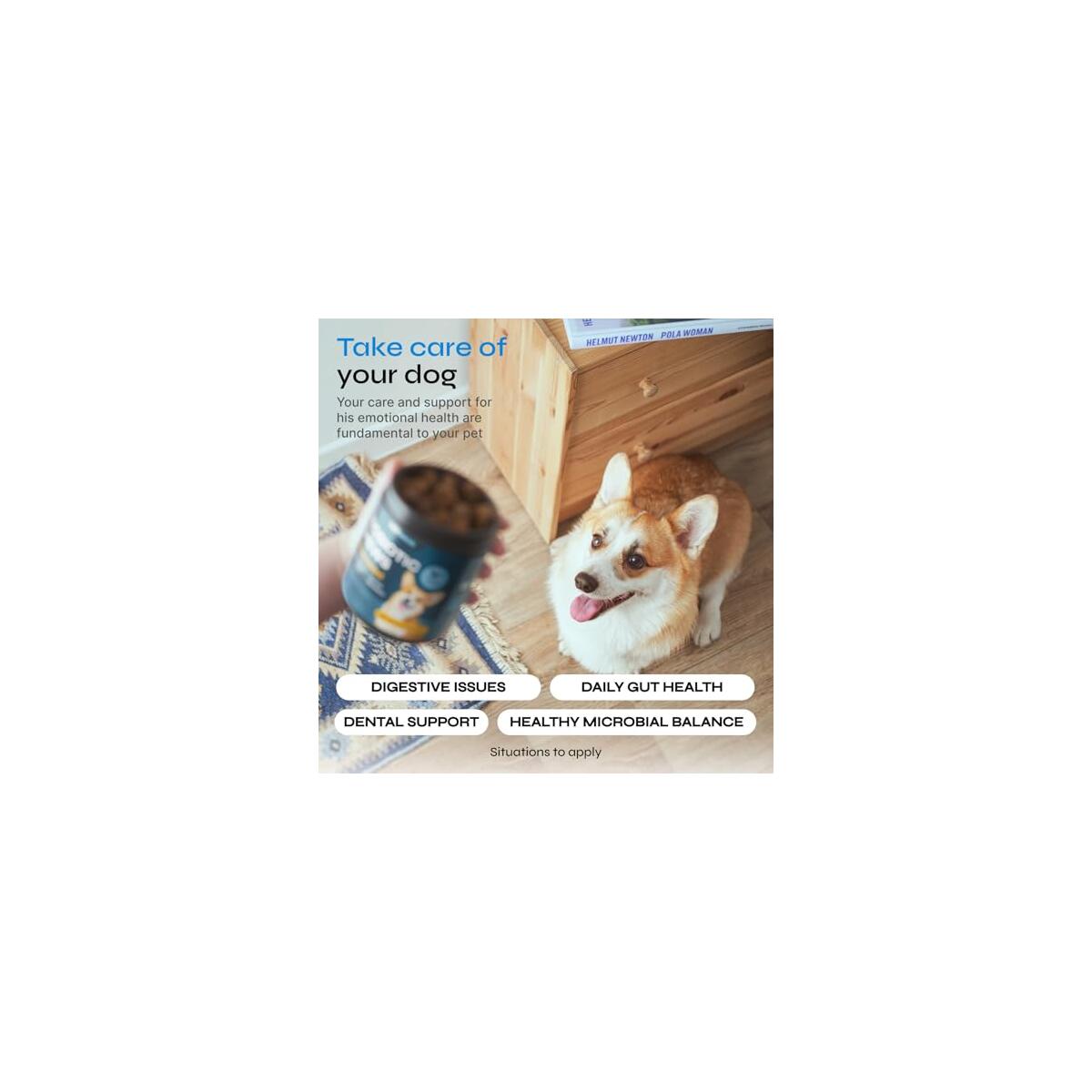 Dog Probiotic Chews 1 Cashback Rebates - RebateKey
