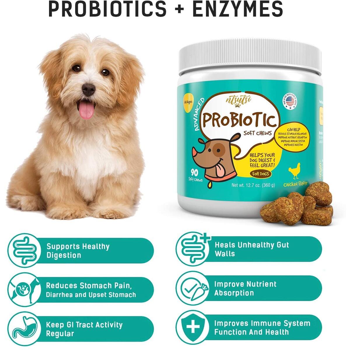Dog Probiotic Cashback RebateKey