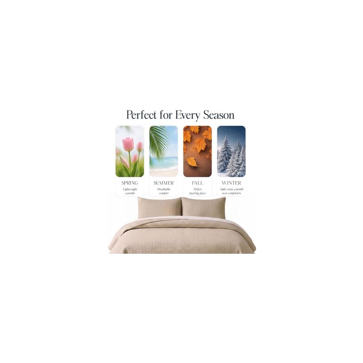 Quilt Set 14 Cash Back - RebateKey