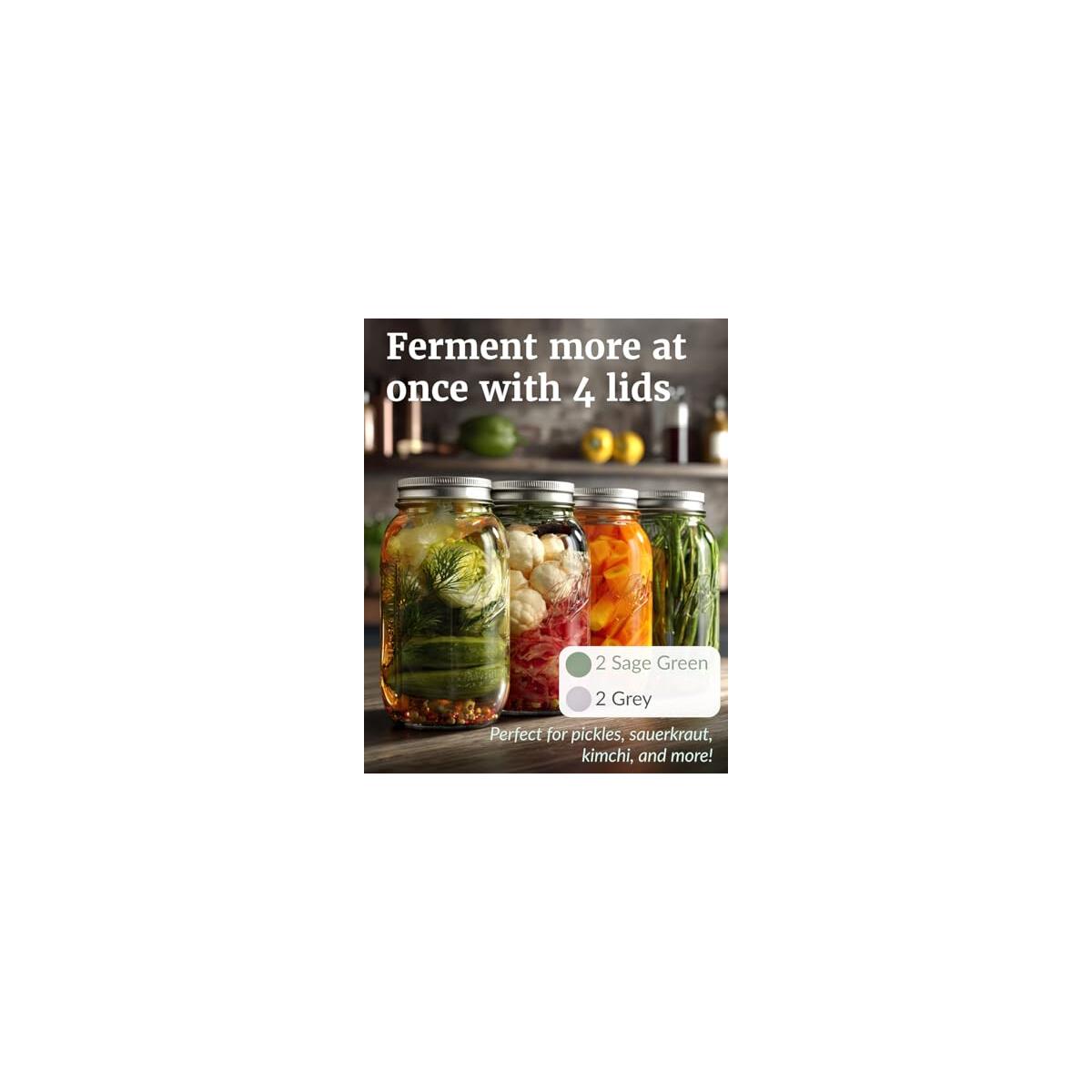Mason Jar Fermentation Lids Cash Back - RebateKey