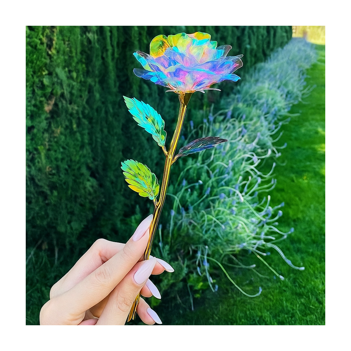 Iridescent Forever Rose Cashback Rebates - RebateKey