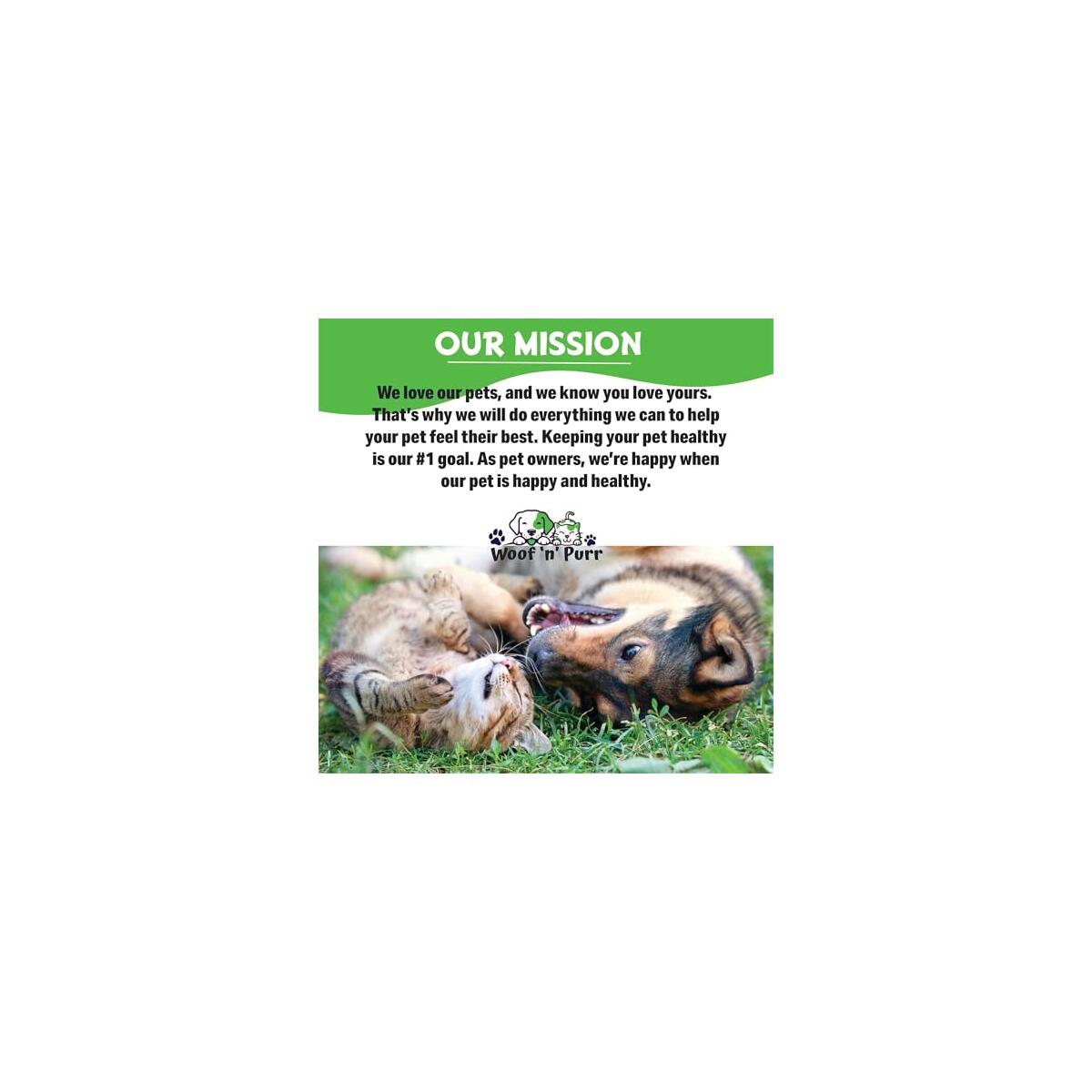 Natural Cat Ear Infection Treatment 1 Cashback Rebate - RebateKey
