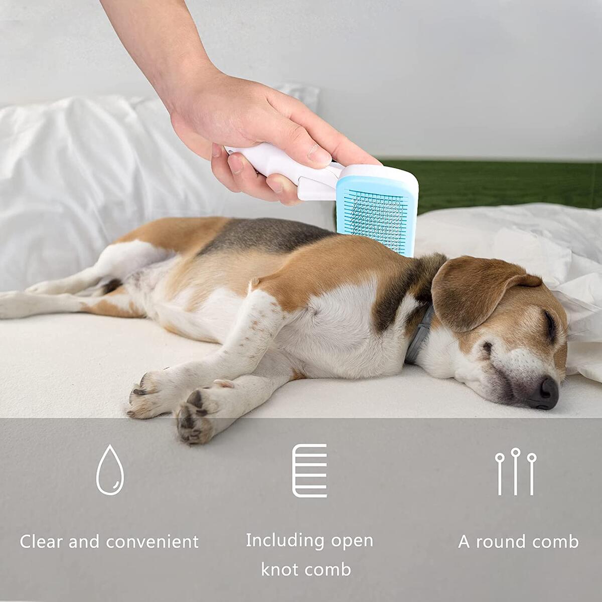 Cat Brush Cash Back - RebateKey