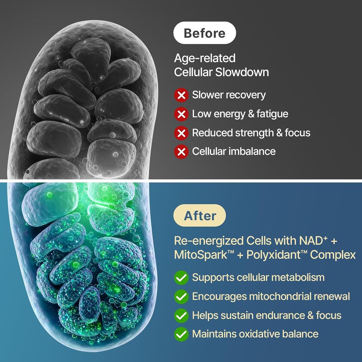 Liposomal Nac Cashback Rebate - RebateKey