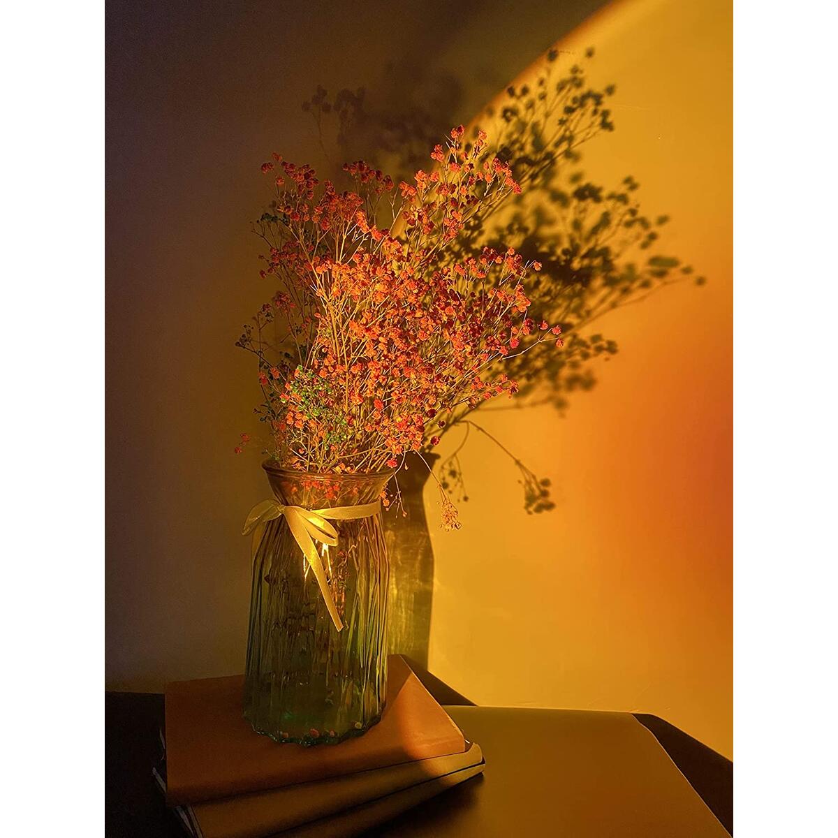 Sunlight Projector Cashback Rebates - RebateKey