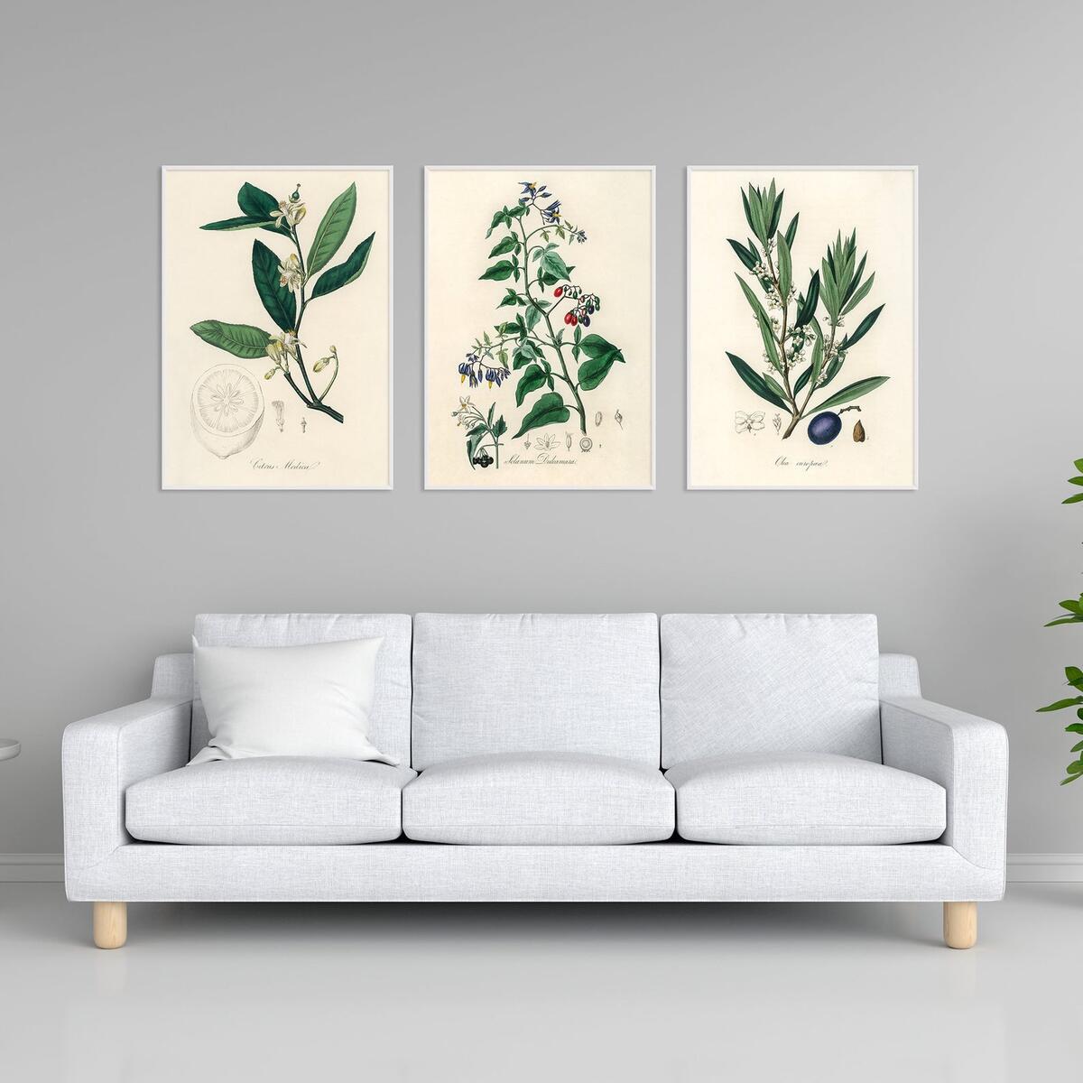 Flowers Set Printable Cashback Rebates - RebateKey