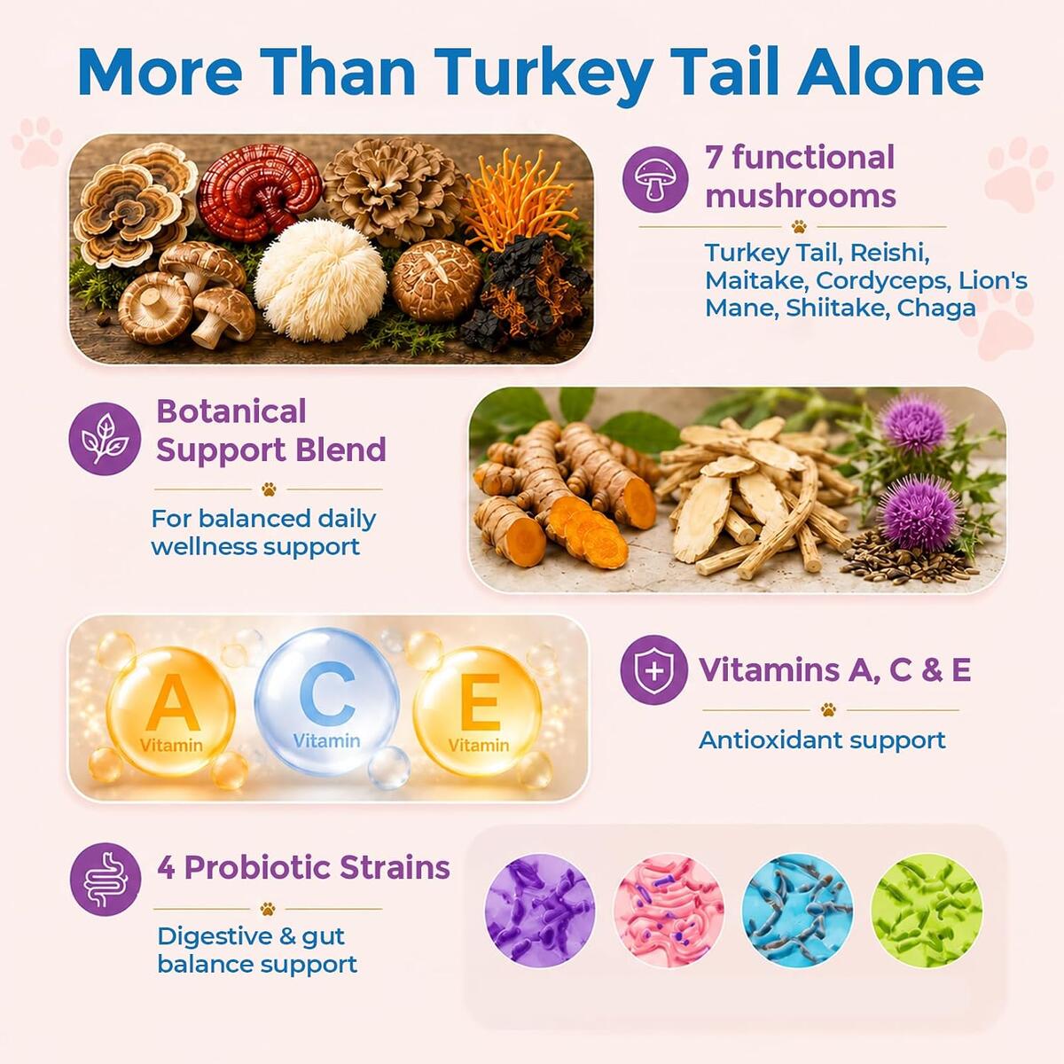 Turkey Tail Mushroom For Dogs Cats Rebate - RebateKey