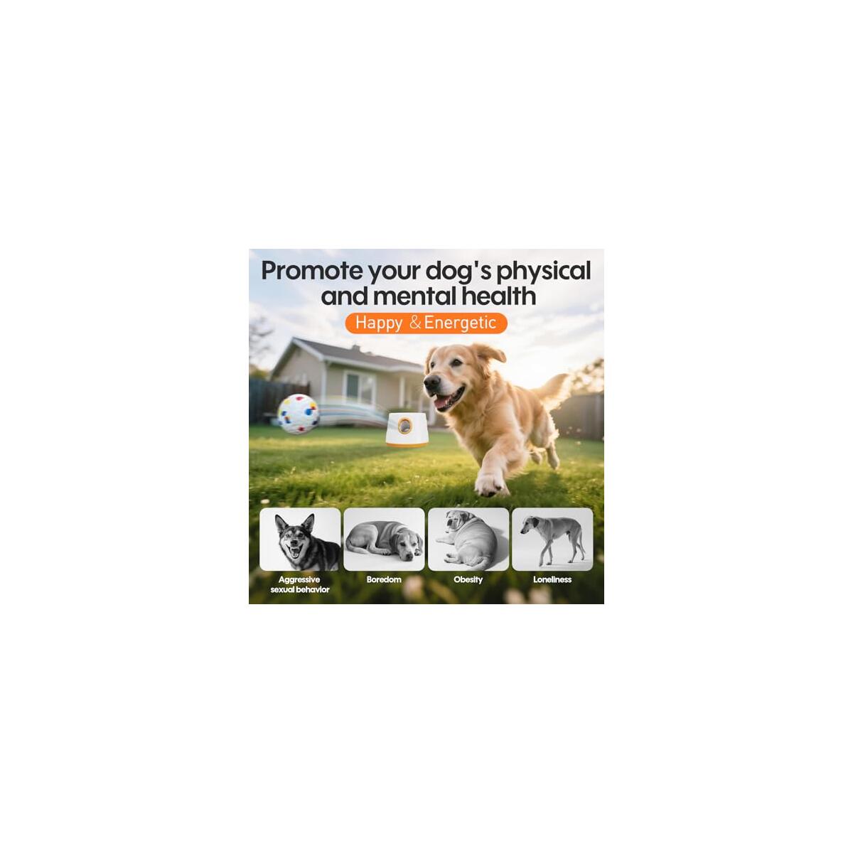 Automatic Dog Ball Launcher For Dogs Cashback Rebate - RebateKey