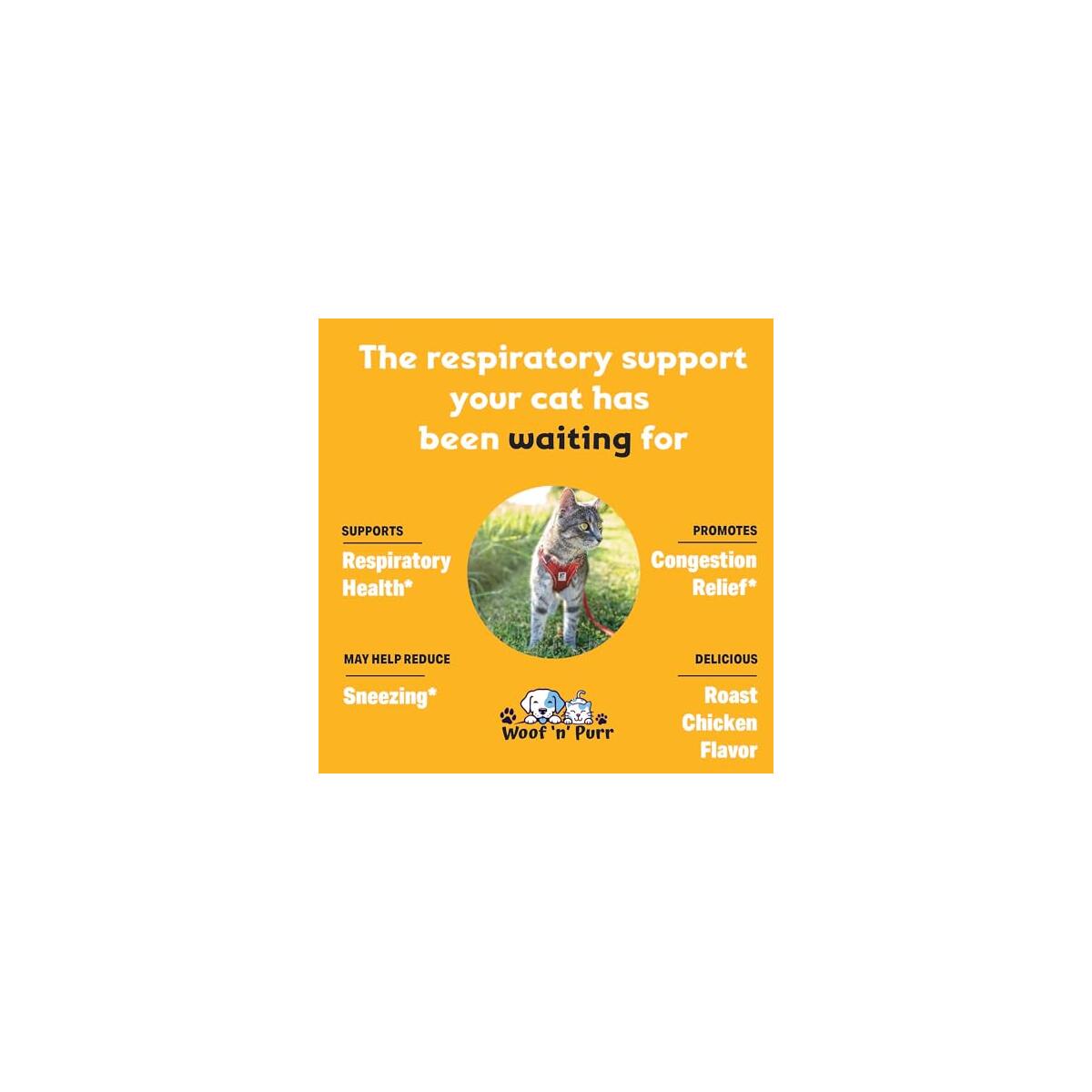 L Lysine For Cats Rebate - RebateKey