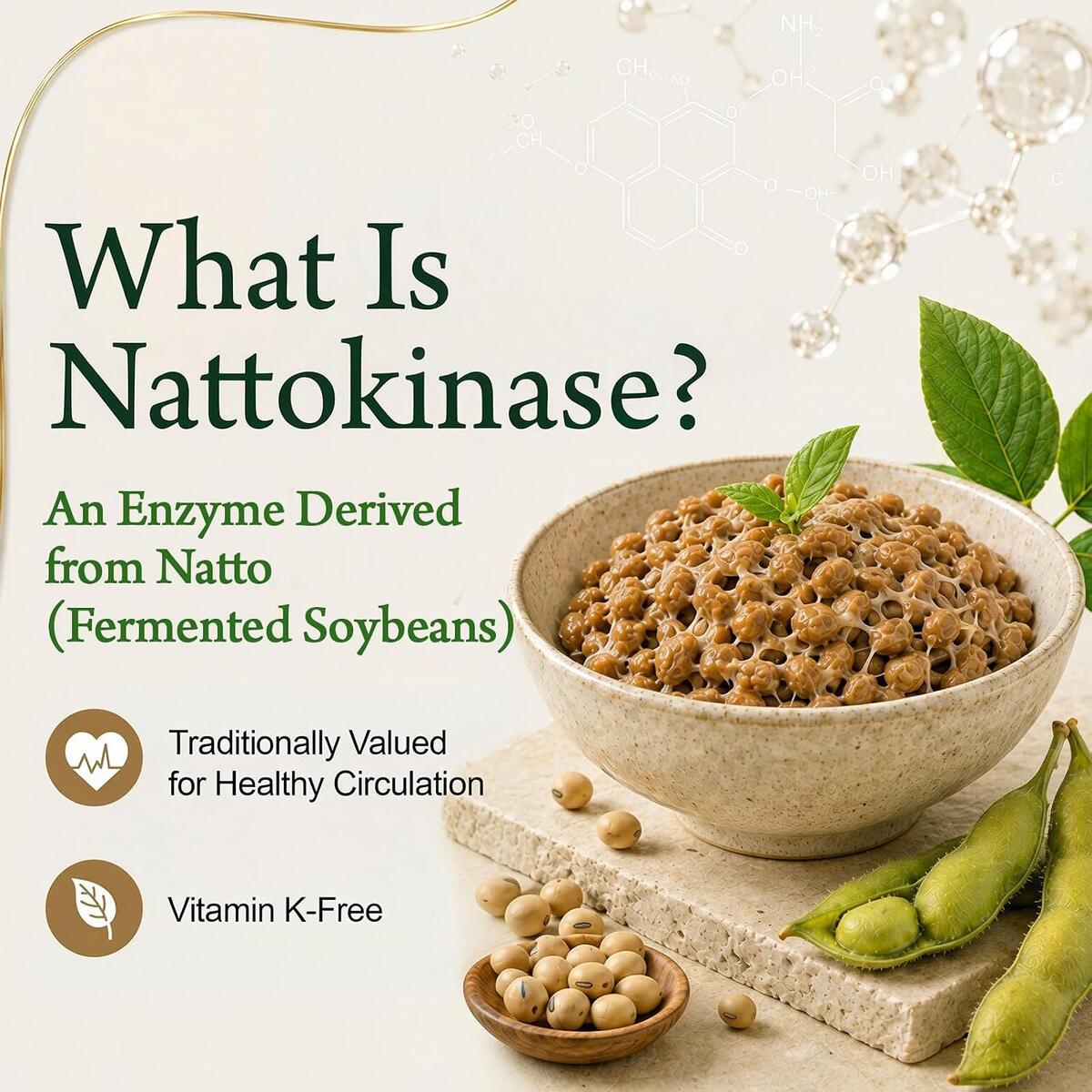 Nattokinase 1 Rebates - RebateKey
