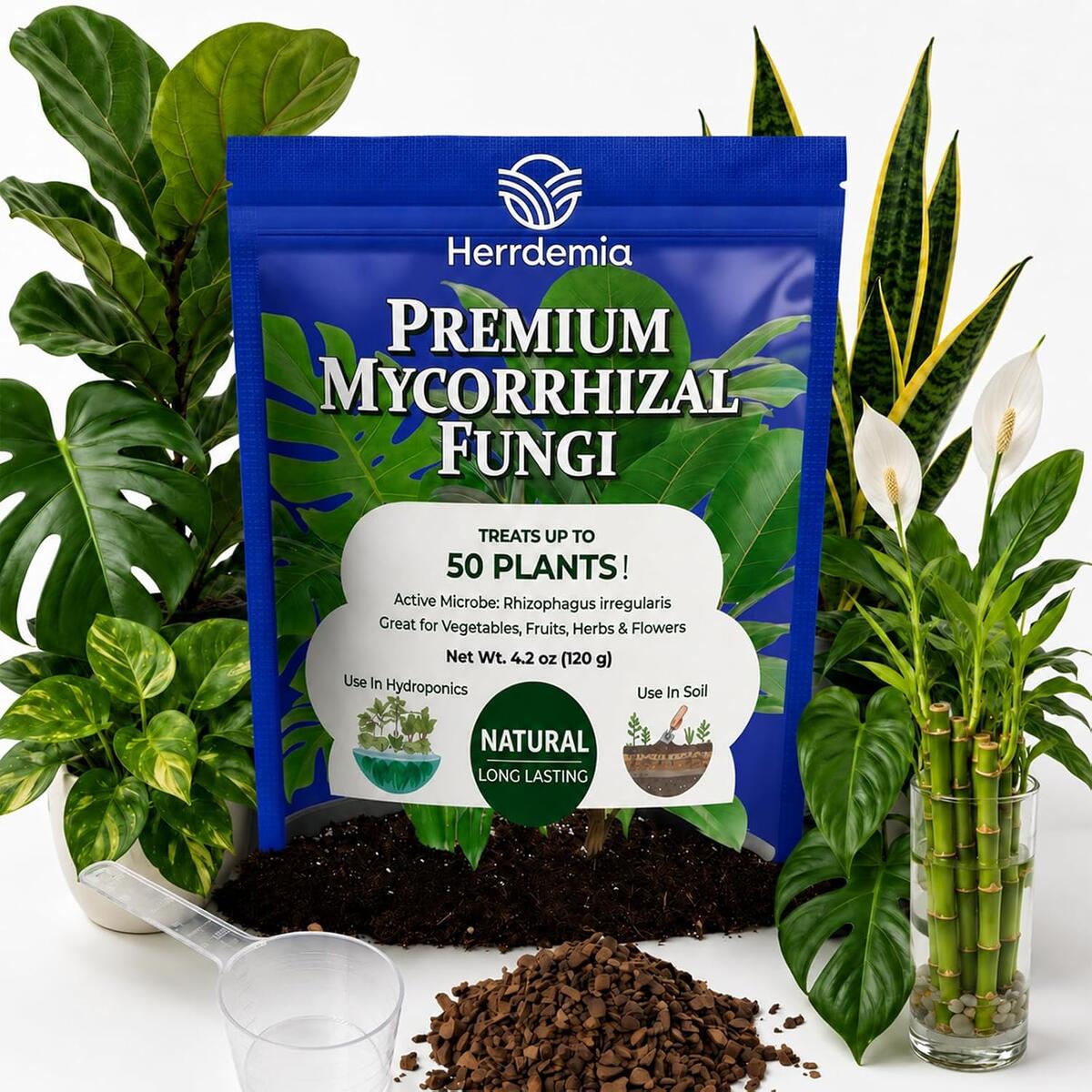 Organic Indoor Plant Food, Mycorrhizal Fungi - Natural Root Stimulator & Soil Activator | Pure Concentrated Houseplant Fertilizer for Hydrangea, Rose, Plumeria, Christmas Cactus, Monstera, 4 OZ