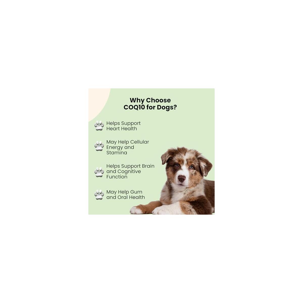 Coq10 For Dogs 1 Cash Back - RebateKey