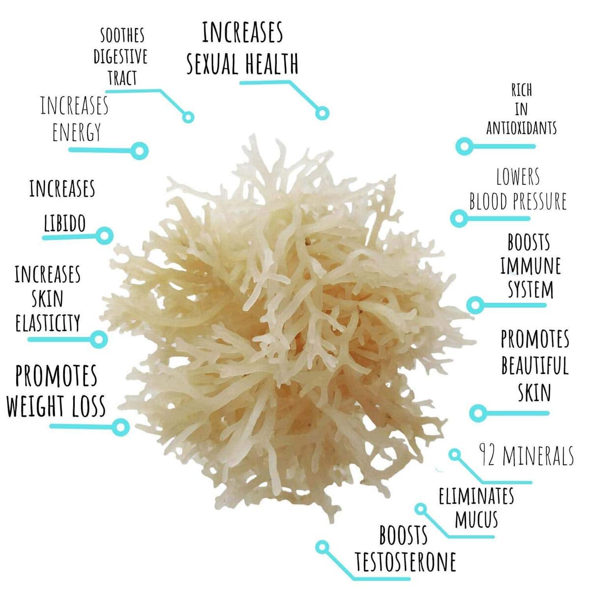 Irish Sea Moss Rebates - RebateKey