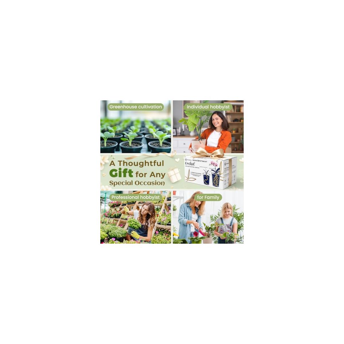 Orchid Potting Mix 1 Rebate - RebateKey