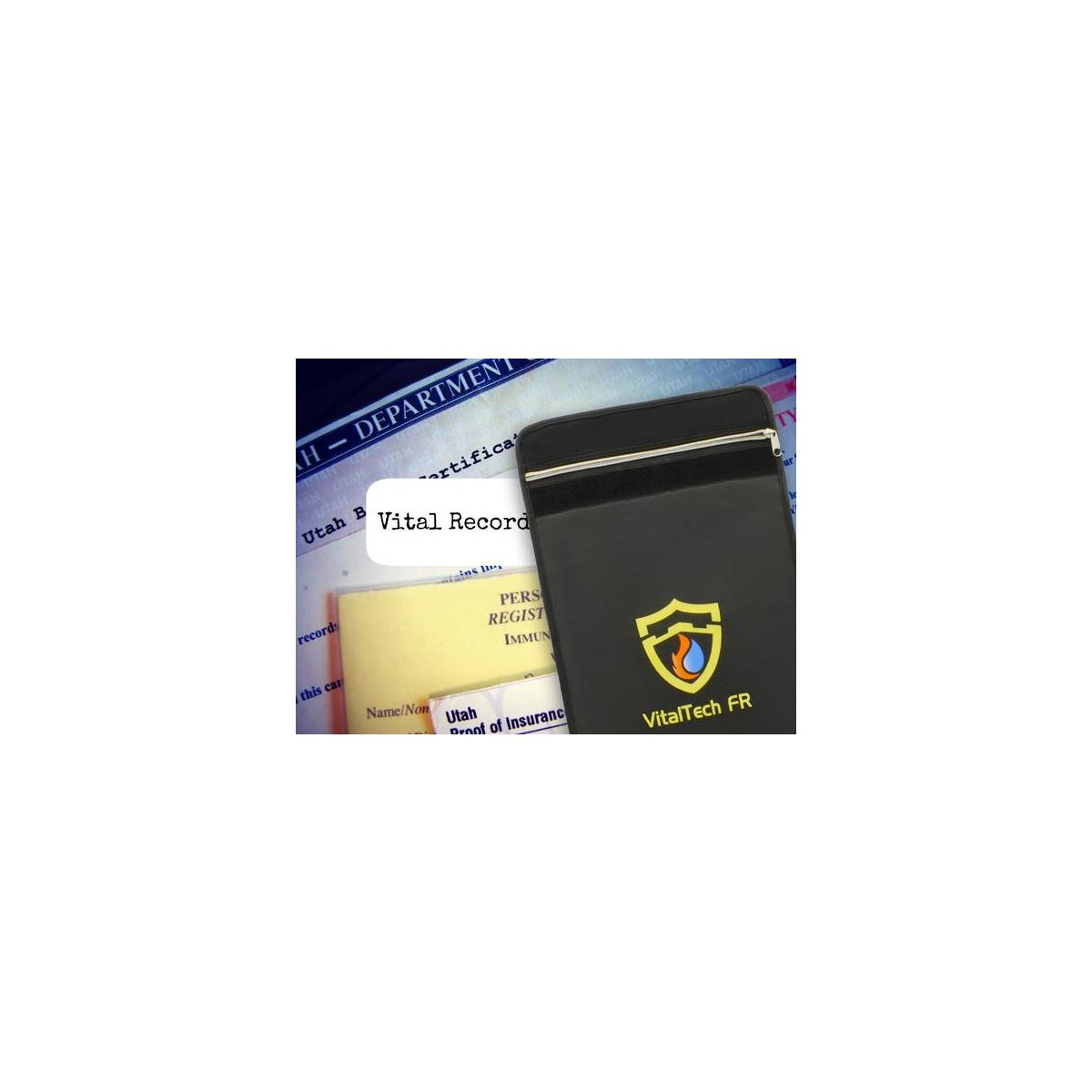 Fireproof Document Bag1 Cash Back - RebateKey