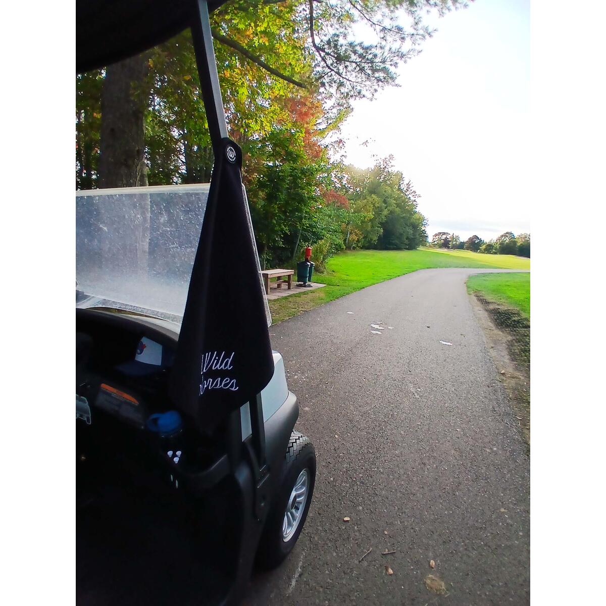 Wild Horses Magnetic Cashback Rebate - RebateKey