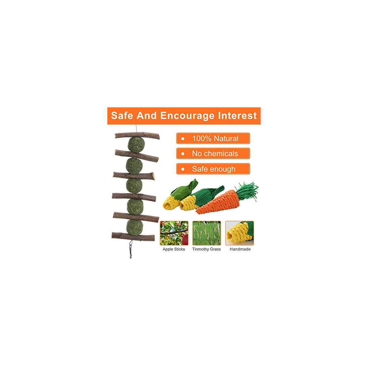 Rabbit Chew Toys Rebates - RebateKey