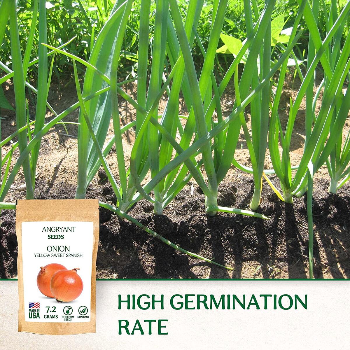 Onion Seeds Cashback Rebate - RebateKey