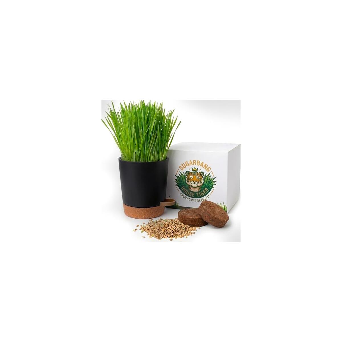 House Tiger Cat Grass Kit for Indoor Cats | Aids Digestion, Hairball Control & Oral Health | Complete Kit Includes Premium Organic seed, Innovative Self-Watering Pot & Eco Friendy Coco Coir Soil Discs
