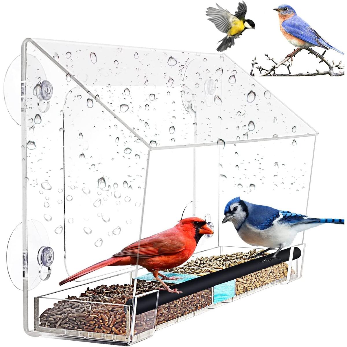 Window Bird Feeder Cashback RebateKey