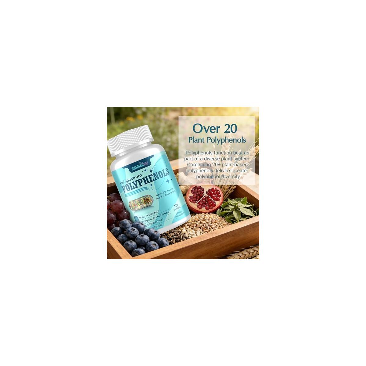 Polyphenols Cashback Rebate - RebateKey