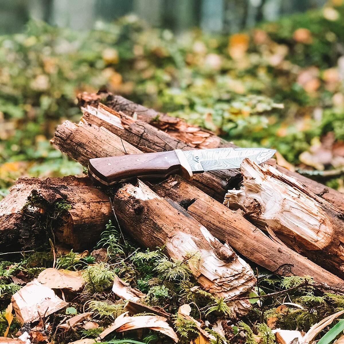 Steel Hunting Knife Rebates - RebateKey