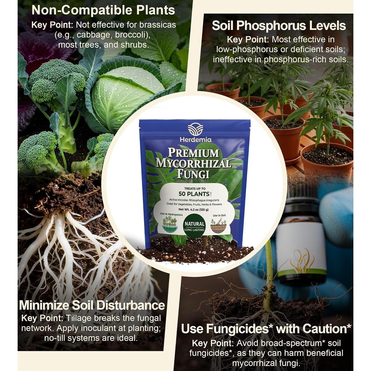 Plant Food Indoor House Plants Rebate - RebateKey
