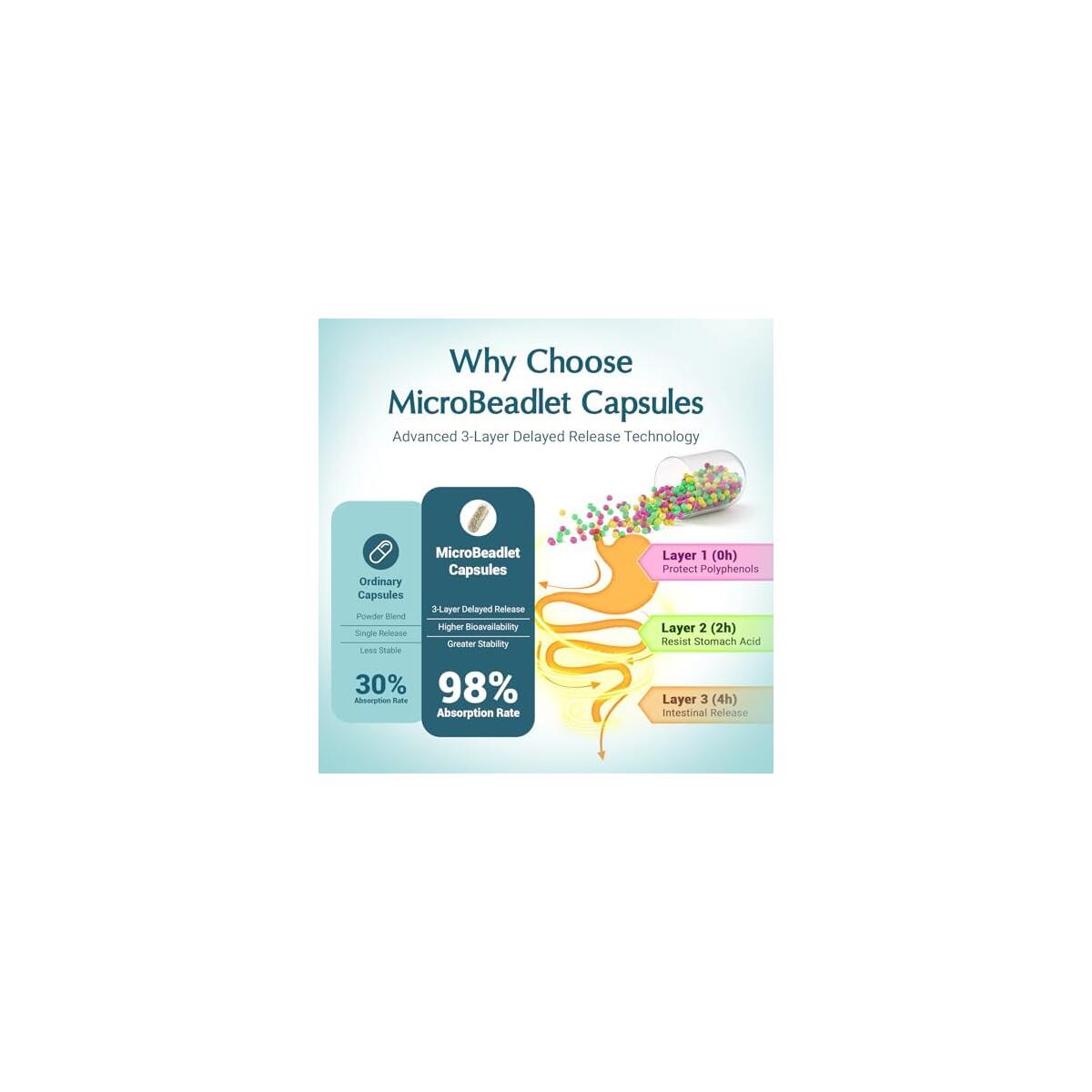 Polyphenols Cashback Rebate - RebateKey