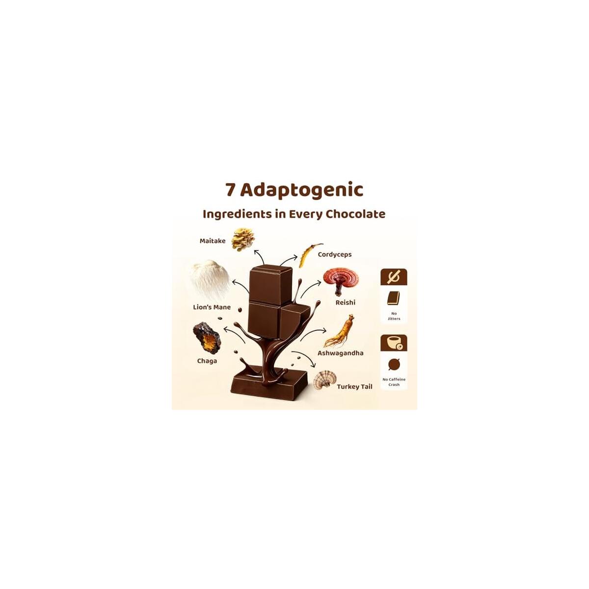 Mushroom Chocolate 1 Cashback Rebates - RebateKey