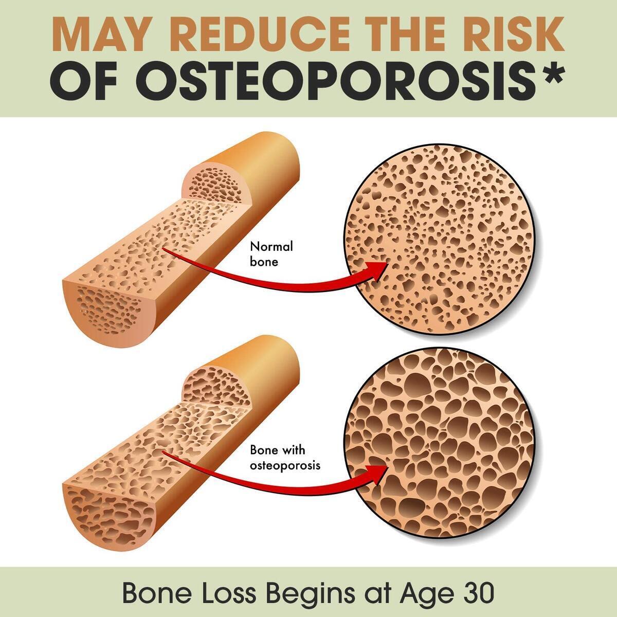 Bone Health Vitamins Rebates - RebateKey