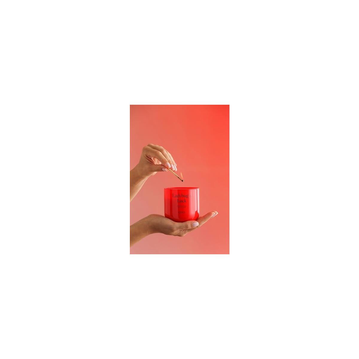 Ojo Lady Bug S 58 Rebates - RebateKey