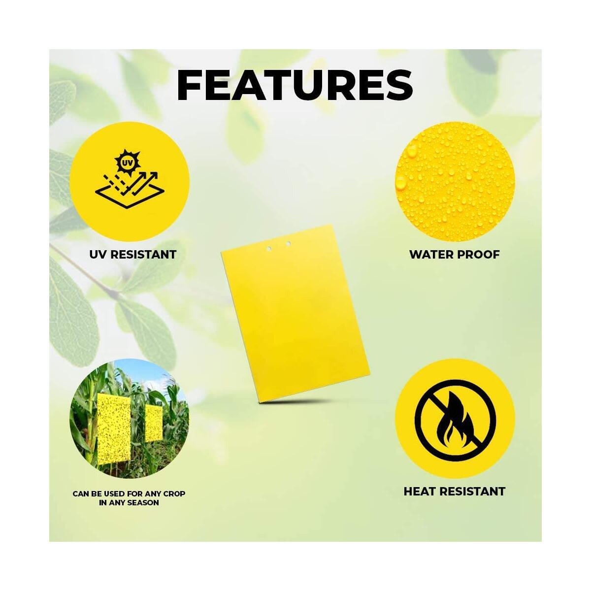 Fly Traps Cashback Rebates - RebateKey